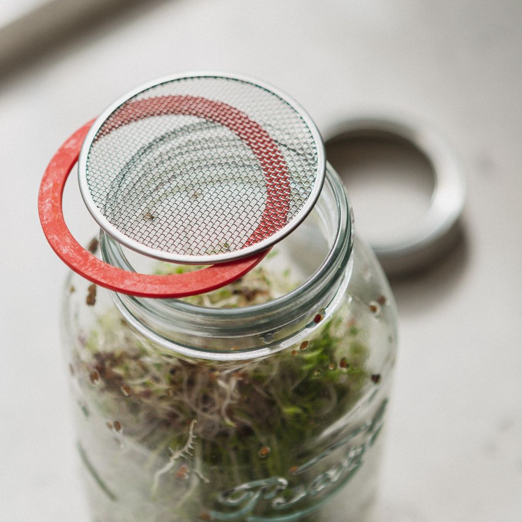 Sprouting Starter Kit | Sprout Growing Kit | Glass Jars & Bottles ...